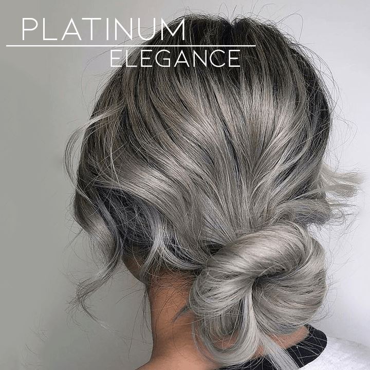 Silver Gray Hair Dye Morning Shades